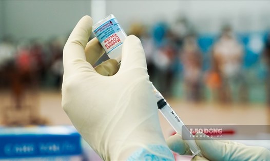 Thủ tướng yêu cầu Bộ Y tế nghiên cứu việc tiêm vaccine phòng COVID-19 cho trẻ 3-5 tuổi. Ảnh: Tạ Quang