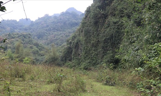 Hòa Bình vừa thu hồi hơn 40ha đất rừng của một doanh nghiệp tại huyện Cao Phong. Ảnh: Khánh Linh.