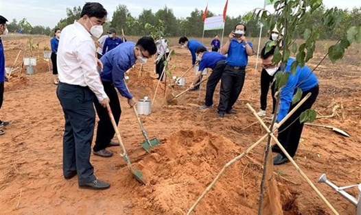 Thanh niên tỉnh Bình Thuận trồng 1.000 cây sao đen dọc tuyến kênh thủy lợi tại Khu Lê Hồng Phong, xã Hồng Phong, huyện Bắc Bình. Ảnh: TTXVN