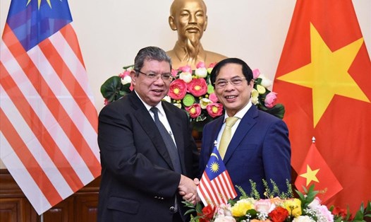 Bộ trưởng Ngoại giao Bùi Thanh Sơn hội đàm với Bộ trưởng Ngoại giao Malaysia Saifuddin Abdullah. Ảnh: BNG