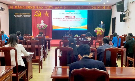 LĐLĐ tỉnh Thái Nguyên tổ chức Hội nghị Ban Chấp hành. Ảnh: CĐTN