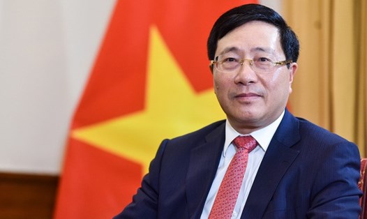 Phó Thủ tướng Thường trực Chính phủ Phạm Bình Minh, Trưởng Ban Chỉ đạo 389 quốc gia. Ảnh: VGP