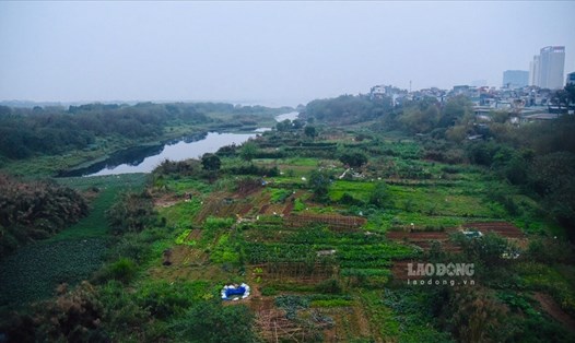 Hà Nội nghiên cứu phát triển bãi giữa, bãi bồi ven sông Hồng thành công viên văn hóa du lịch. Ảnh: Nguyễn Long