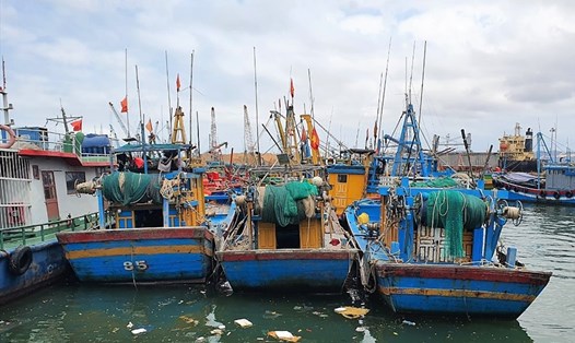 Nhiều ngư dân ở Bình Định cho tàu nằm bờ vì giá xăng dầu tăng cao. Ảnh: D.P