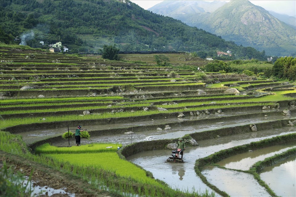 Mùa nước đổ ở Bình Liêu thường diễn ra vào tháng 3, tháng 4 hằng năm. Ảnh: Tiến Trưởng