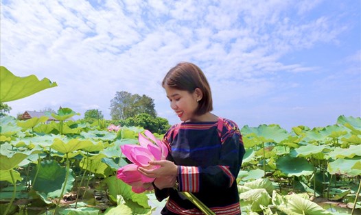 Du khách đến chụp hình tại hồ sen ở xã Ia Yeng. Ảnh Nay Sắt