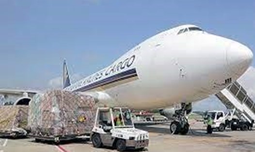 Cần sớm hoàn thiện hồ sơ thành lập hãng hàng không vận tải hàng hoá IPP Air Cargo. Ảnh GT
