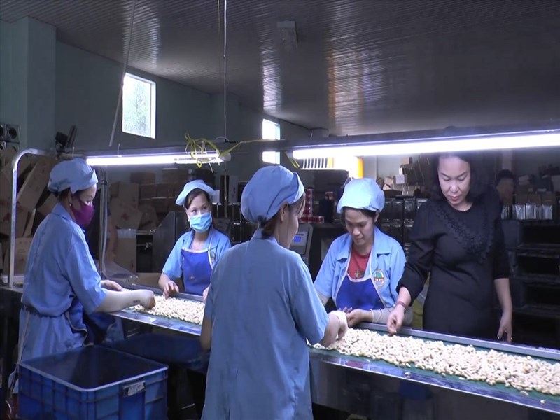 Điều mất mùa, rớt giá nông dân Đắk Nông chồng chất khó khăn