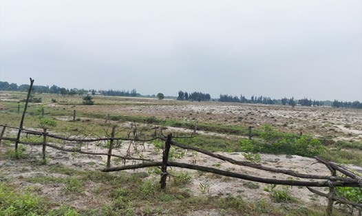 Dự án Nông nghiệp Công nghệ cao FLC ở Hà Tĩnh kém hiệu quả, bỏ hoang phần lớn diện tích gây lãng phí nên vừa xin trả lại gần 2/3 diện tích dự án cho địa phương. Ảnh: Trần Tuấn.