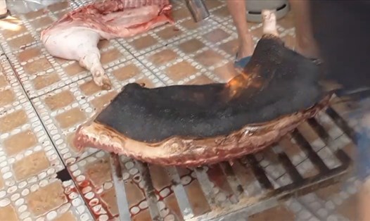 Mảnh thịt heo nái chết được khò đến cháy đen để biến thành bê thui.