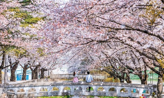 KTO tiếp tục duy trì các hoạt động quảng bá du lịch Hàn Quốc đến người dân Việt Nam. Ảnh: KTO