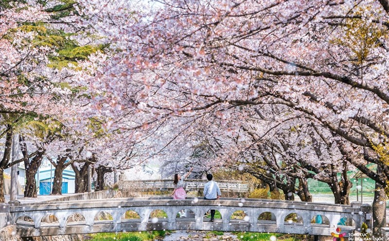 KTO tiếp tục duy trì các hoạt động quảng bá du lịch Hàn Quốc đến người dân Việt Nam. Ảnh: KTO