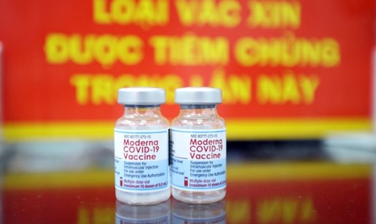 Vaccine Moderna. Ảnh: Hải Nguyễn
