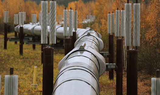 Hệ thống đường ống xuyên Alaska tại Fairbanks, Alaska, Mỹ. Ảnh: AFP