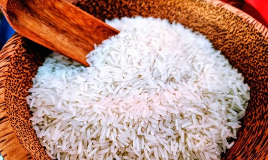Giá gạo xuất khẩu của Việt Nam đã tăng trở lại 5 USD/tấn đối với gạo 5% tấm và 25% tấm. Ảnh: Vũ Long