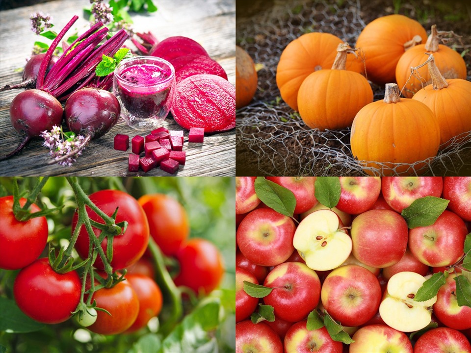 Những loại thực phẩm tốt cho sức khoẻ của phổi. Ảnh: TL