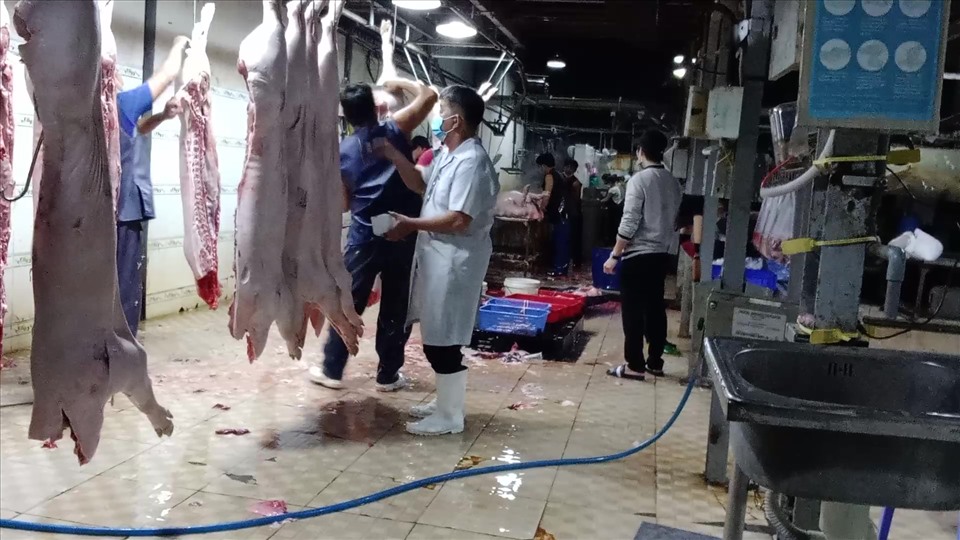 Đường dây cung cấp thịt heo bẩn: Cán bộ thú y và lò mổ tiếp tay