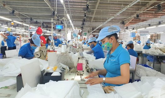Trong năm 2021, Quảng Nam giải quyết việc làm cho 55.000 lao động. Ảnh: Thanh Chung