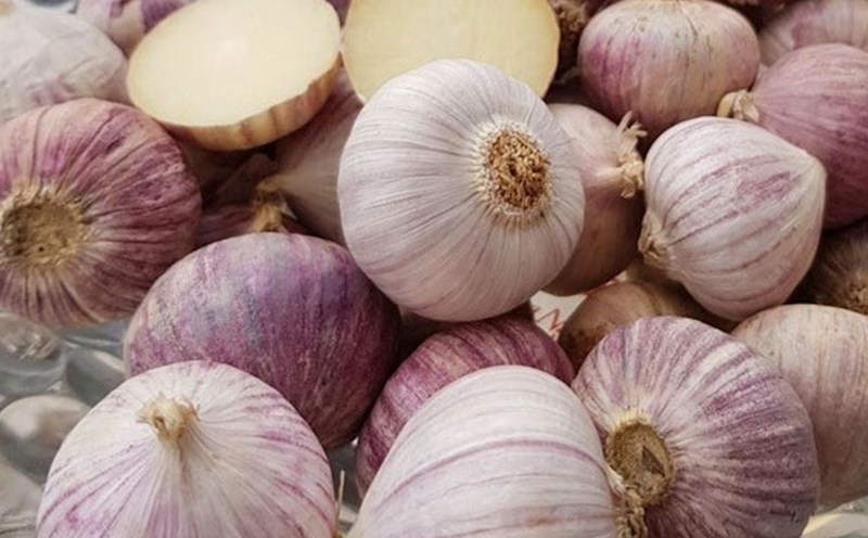 Hút chân không tỏi cô đơn tại Hà Nội Hút chân không tỏi cô đơn tại Hà Nội