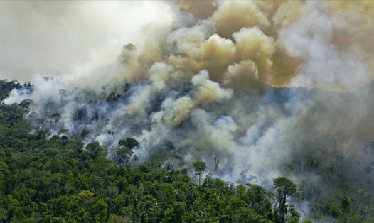 Một đám cháy tại rừng Amazon. Ảnh: AFP