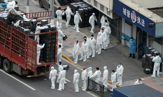 Các nhân viên y tế trong trang phục bảo hộ tại Thượng Hải, Trung Quốc. Ảnh: AFP