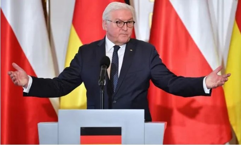 German President says Ukraine does not welcome him to Kiev