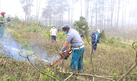 Sau khi tổ chức cưỡng chế, giải tỏa, huyện Đắk Glong sẽ bàn giao cho đơn vị quản lý trồng lại rừng toàn bộ trên diện tích bị lấn chiếm. Ảnh: Phan Tuấn