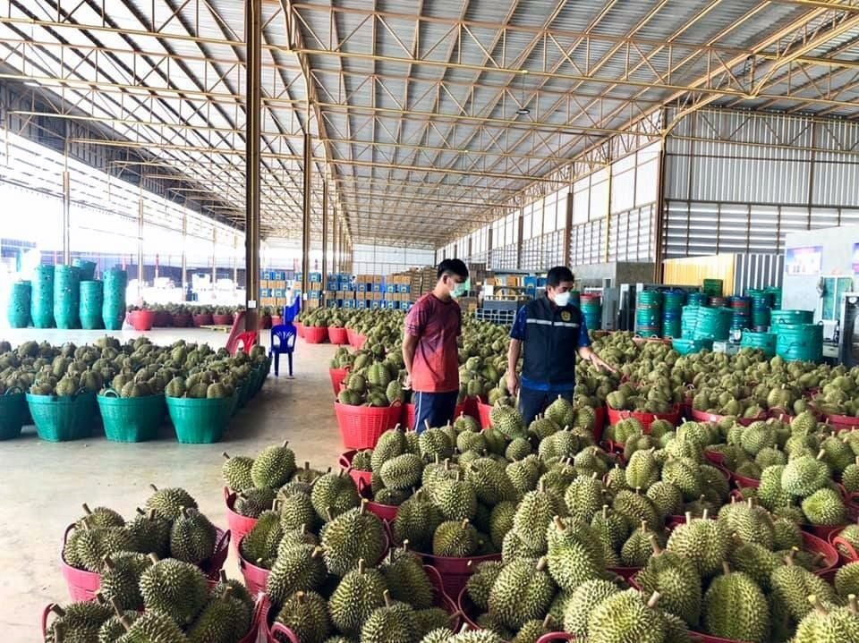 Nông sản Việt thêm áp lực từ bên ngoài