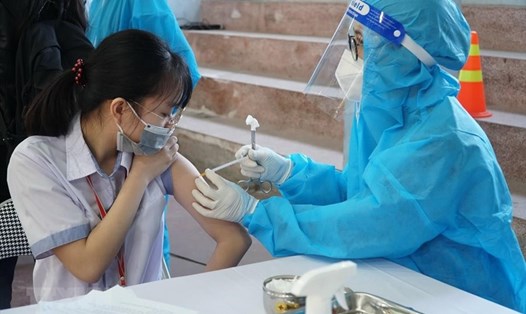 Chính phủ đồng ý tiếp nhận vaccine viện trợ cho trẻ từ 5 tuổi - 12 tuổi. Ảnh: TTXVN
