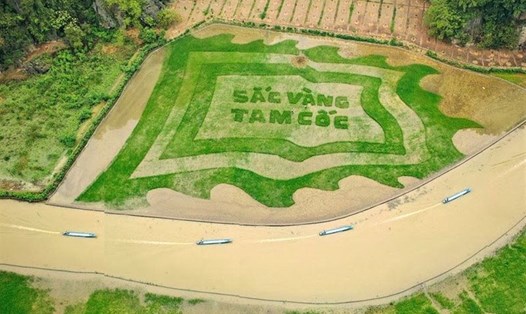 Nhiều chương trình biểu diễn nghệ thuật đặc sắc sẽ được diễn ra trong Tuần du lịch Ninh Bình 2022. Ảnh TL