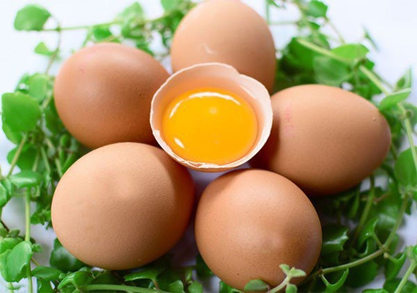 5 tác dụng khi ăn lòng đỏ trứng gà