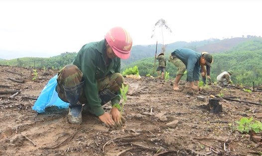 Người dân huyện Krông Bông, tỉnh Đắk Lắk trồng rừng phủ xanh đồi trọc. Ảnh: B.T