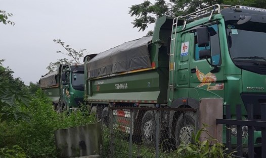 2 chiếc xe chở quá tải trọng của Công ty TNHH MTV Việt Thắng 1-5 bị xử phạt. Ảnh: Hưng Thơ.