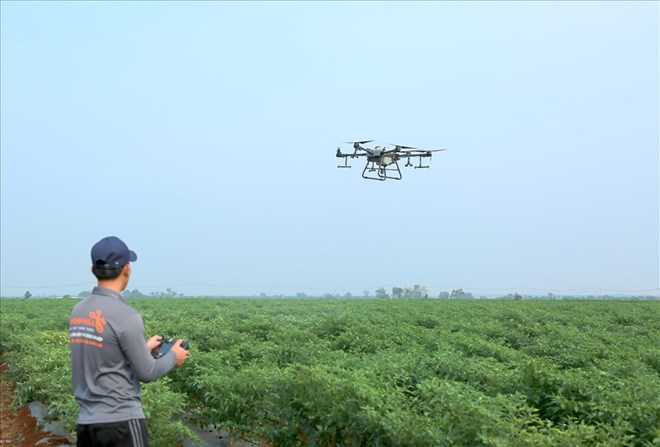 Vựa ớt lớn nhất Đắk Lắk tạo việc làm cho hàng trăm lao động