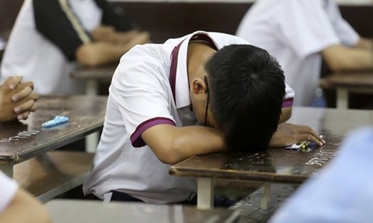 Học sinh từ lớp 1-12  phải đối mặt với khối lượng bài tập nặng và khó, chịu nhiều áp lực về tinh thần