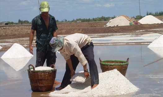 Thu hoạch muối trước khi trời mưa trái mùa tại tỉnh Bạc Liêu. Ảnh: Nhật Hồ