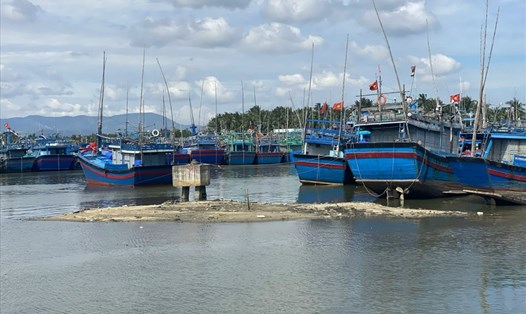 Cảng cá Tam Quan (Bình Định) bị bồi lắng. Ảnh: D.P