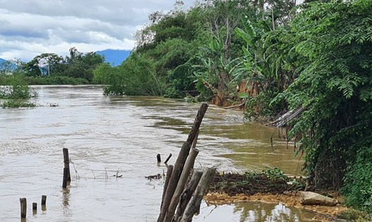 Đập tạm ngăn mặn trên sông Vĩnh Điện bị vỡ gây thiệt hại khoảng 2 tỉ đồng. Ảnh: Thanh Chung