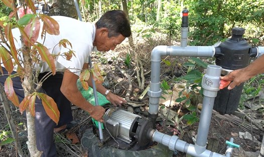 Ông Huỳnh Vinh Võ sử dụng hệ thống tưới tiết kiệm để bón phân cho cây giúp giảm lượng phân sử dụng. Ảnh: PV