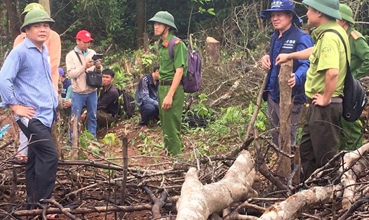 Ông Lê Đại Lợi (bìa trái ảnh) - Phó Chủ tịch UBND huyện Đakrông dẫn đoàn đi vào hiện trường kiểm tra vụ phá rừng. Ảnh: CTV.