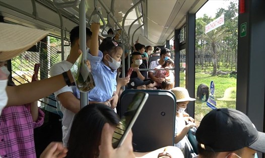 Du khách hào hứng tham quan công viên động vật bán hoang dã ở Phú Quốc. Ảnh: PV