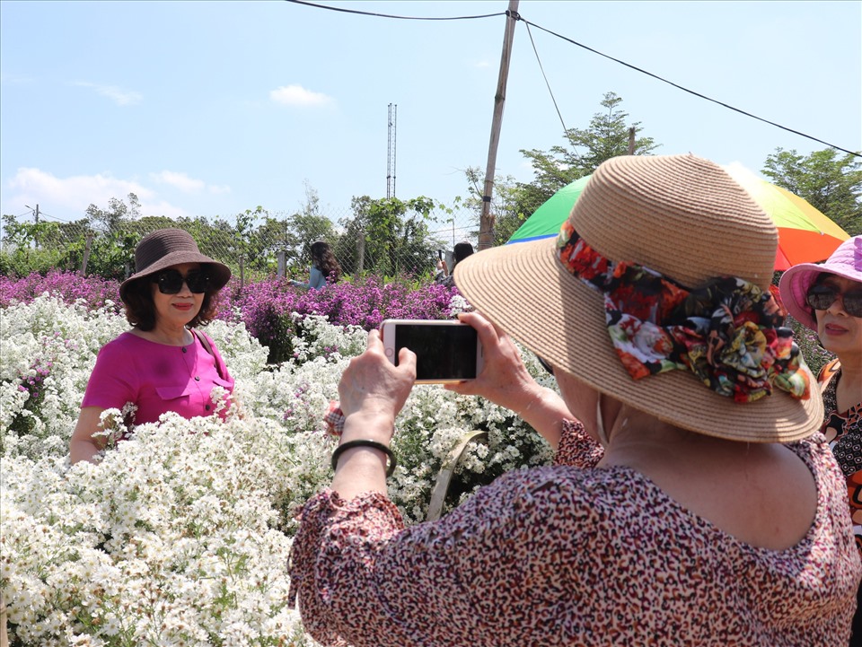 Đông đảo khách du lịch đến tham quan, check-in tại vườn hoa được mệnh danh Đà Lạt thứ 2 tại Đà Nẵng. Ảnh: Nguyễn Linh