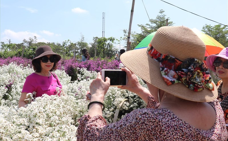 Đông đảo khách du lịch đến tham quan, check-in tại vườn hoa được mệnh danh Đà Lạt thứ 2 tại Đà Nẵng. Ảnh: Nguyễn Linh