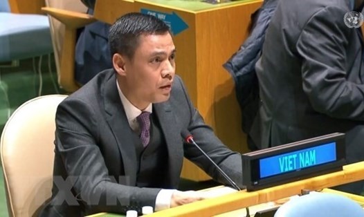 Đại sứ Đặng Hoàng Giang - Trưởng Phái đoàn Thường trực Việt Nam tại Liên Hợp Quốc. Ảnh: TTXVN