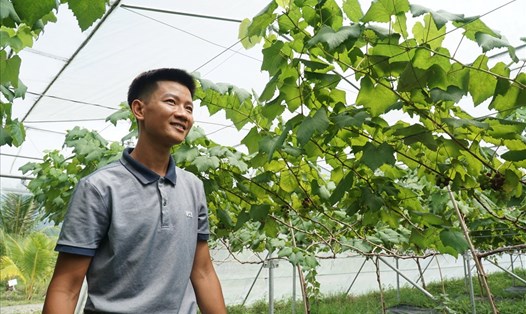 9x Nguyễn Tá Đông làm giàu từ mô hình nông trại công nghệ cao tại thị xã Ninh Hòa.