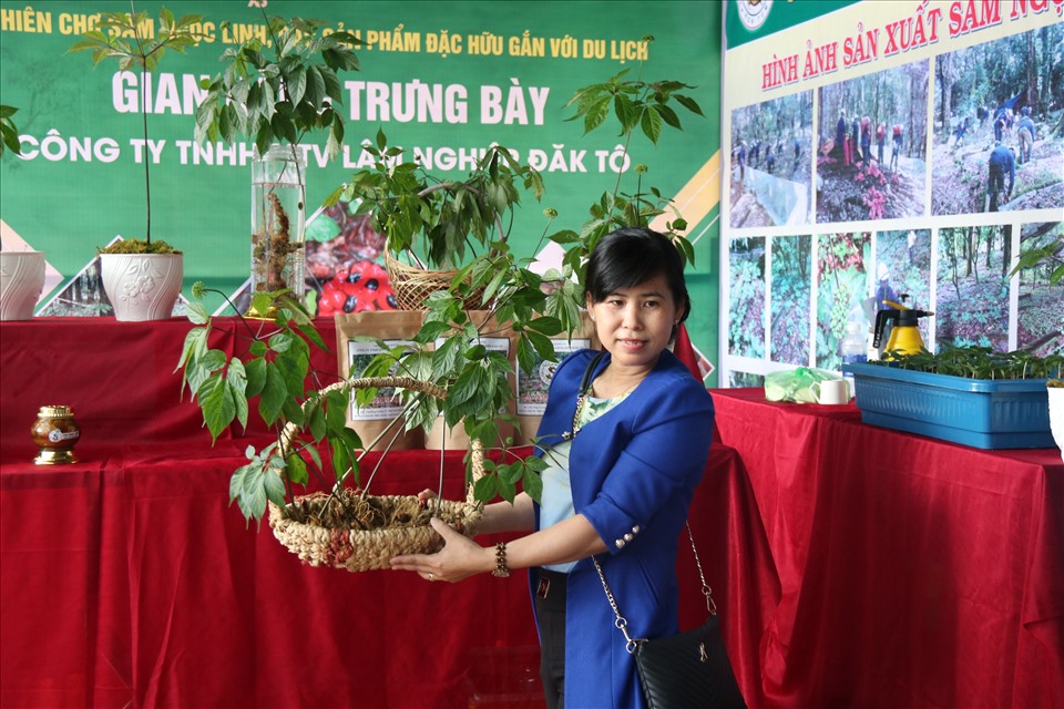Du khách tham quan gian hàng bày bán sâm Ngọc Linh củ. Ảnh T.T