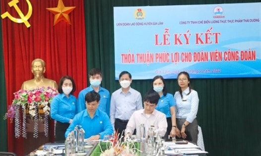 Ký kết Thoả thuận giữa Liên đoàn Lao động huyện Gia Lâm đã ký kết Thỏa thuận hợp tác phúc lợi đoàn viên với Công ty TNHH chế biến lương thực, thực phẩm Thái Dương. Ảnh: CĐH