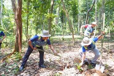 Nhân viên Coteccons hưởng ứng hoạt động trồng cây xanh