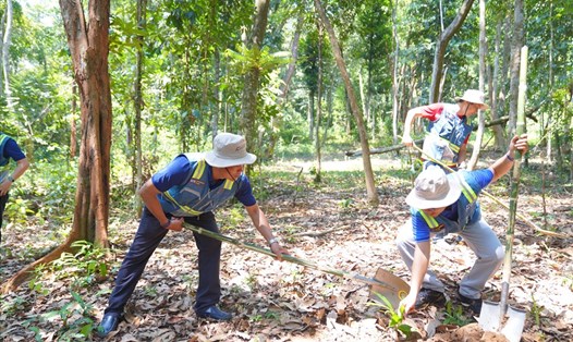 Nhân viên Coteccons hưởng ứng hoạt động trồng cây xanh