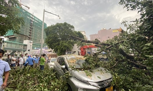 Nhánh cây đè làm hư hỏng hai ôtô trước Bệnh viện Ung bướu TPHCM.  Ảnh: Anh Tú